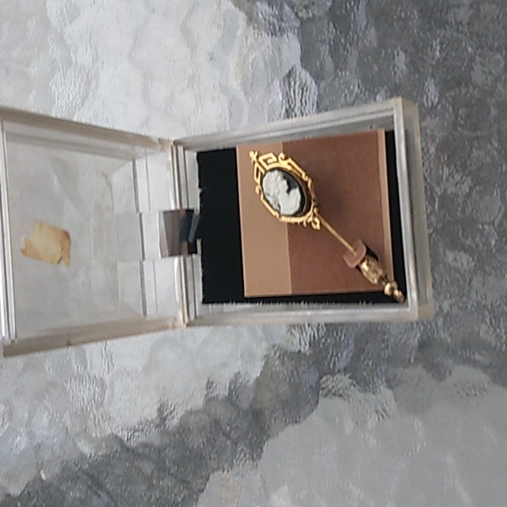 A hat pin